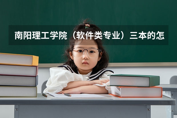 南阳理工学院（软件类专业）三本的怎么样？